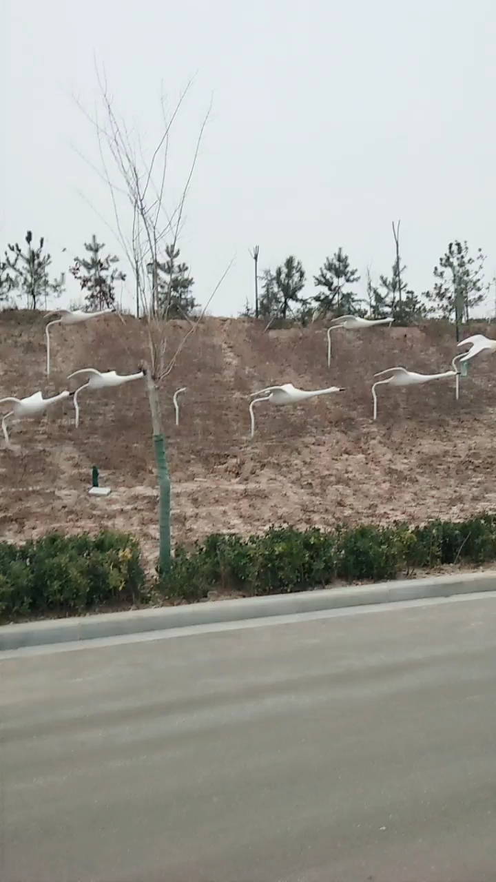 天鹅湖湿地公园