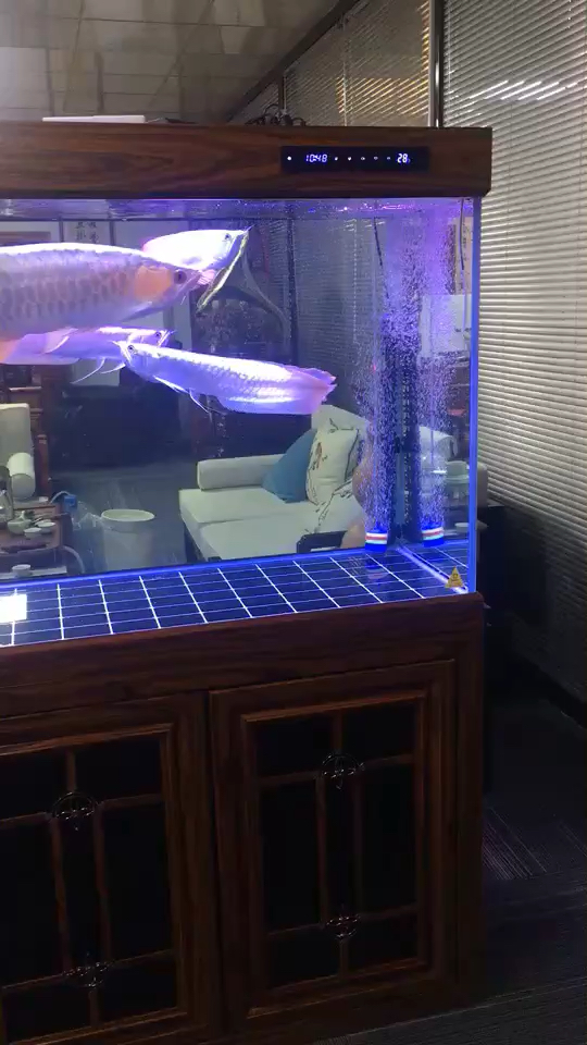 鱼是宝、水是财,风生水起好运来!