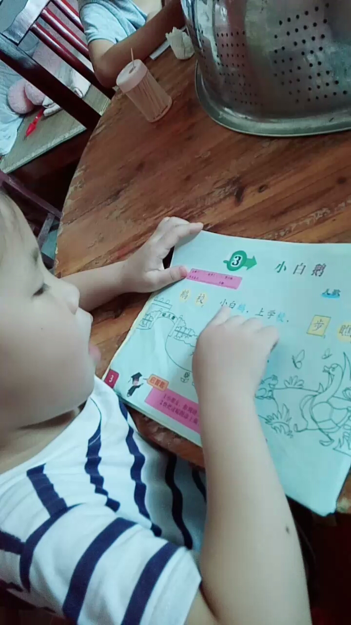 小白鹅