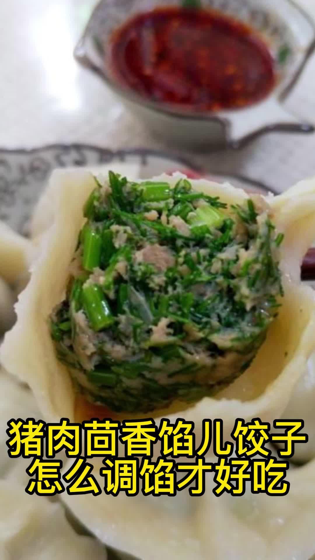 猪肉茴香馅儿饺子怎么调馅才好吃,你看懂了吗