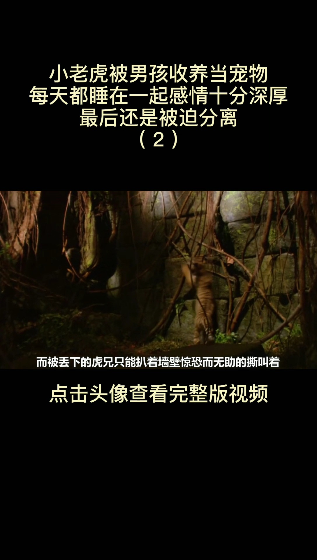 #电影剪辑#虎兄虎弟(2)段