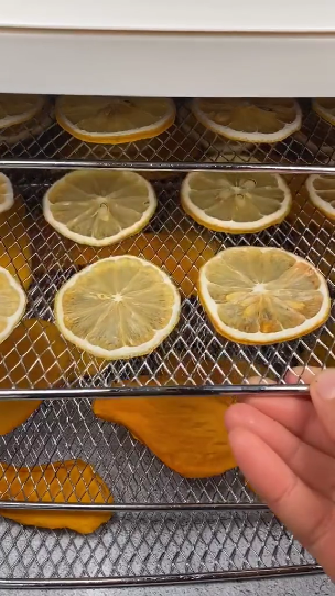 今天自己做了水果干,芒果干一出锅就被抢光啦