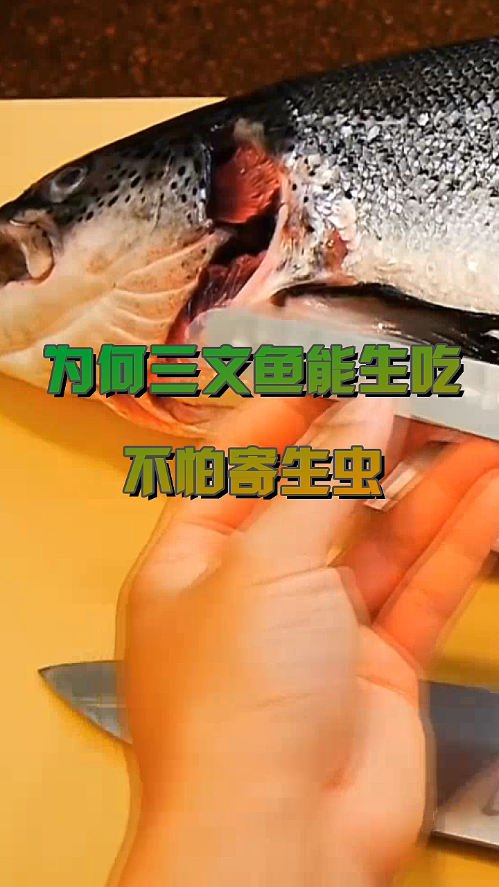 #我要上热门#为何三文鱼能生吃,不用担心寄生虫吗?看完明白了