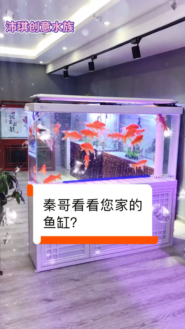 鱼缸龙鱼缸屏风鱼缸客厅鱼缸