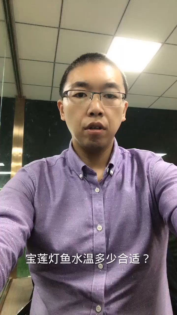 宝莲灯鱼水温多少合适?