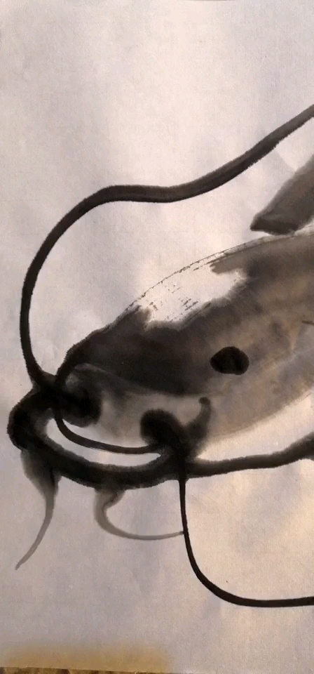 #全民独门绝技咖#虾帝齐白石,虾王郑海荣画的鲶鱼。