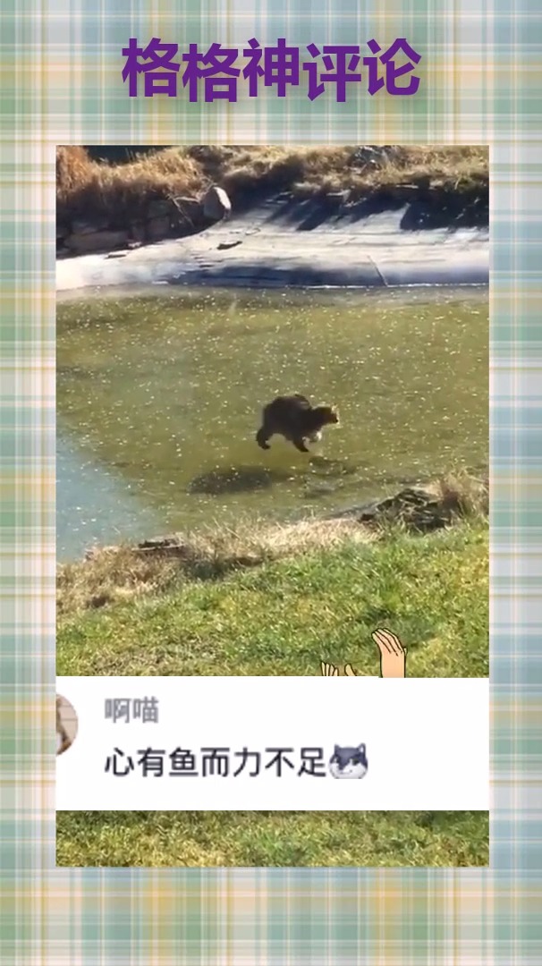 你别跑呀 地太滑我刹不住车!