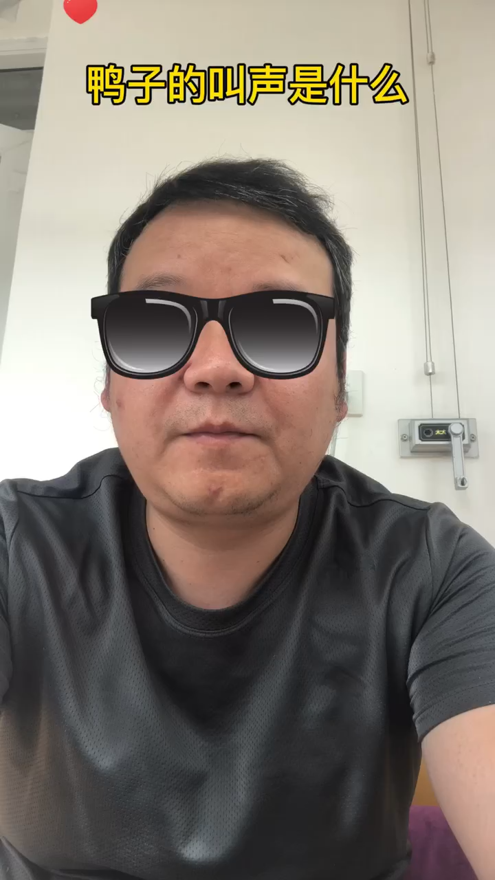 鸭子的叫声   
