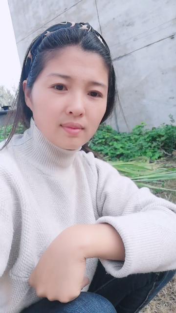 看看我的小菜园怎么样生菜油麦菜香菜苔菜大葱洋葱大蒜甘蔗辣椒小白菜莼菜八叶菜