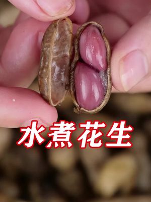 盐水花生多数人第一步就煮错了,学会3招,花生干净入味还省煤气 #水煮花生