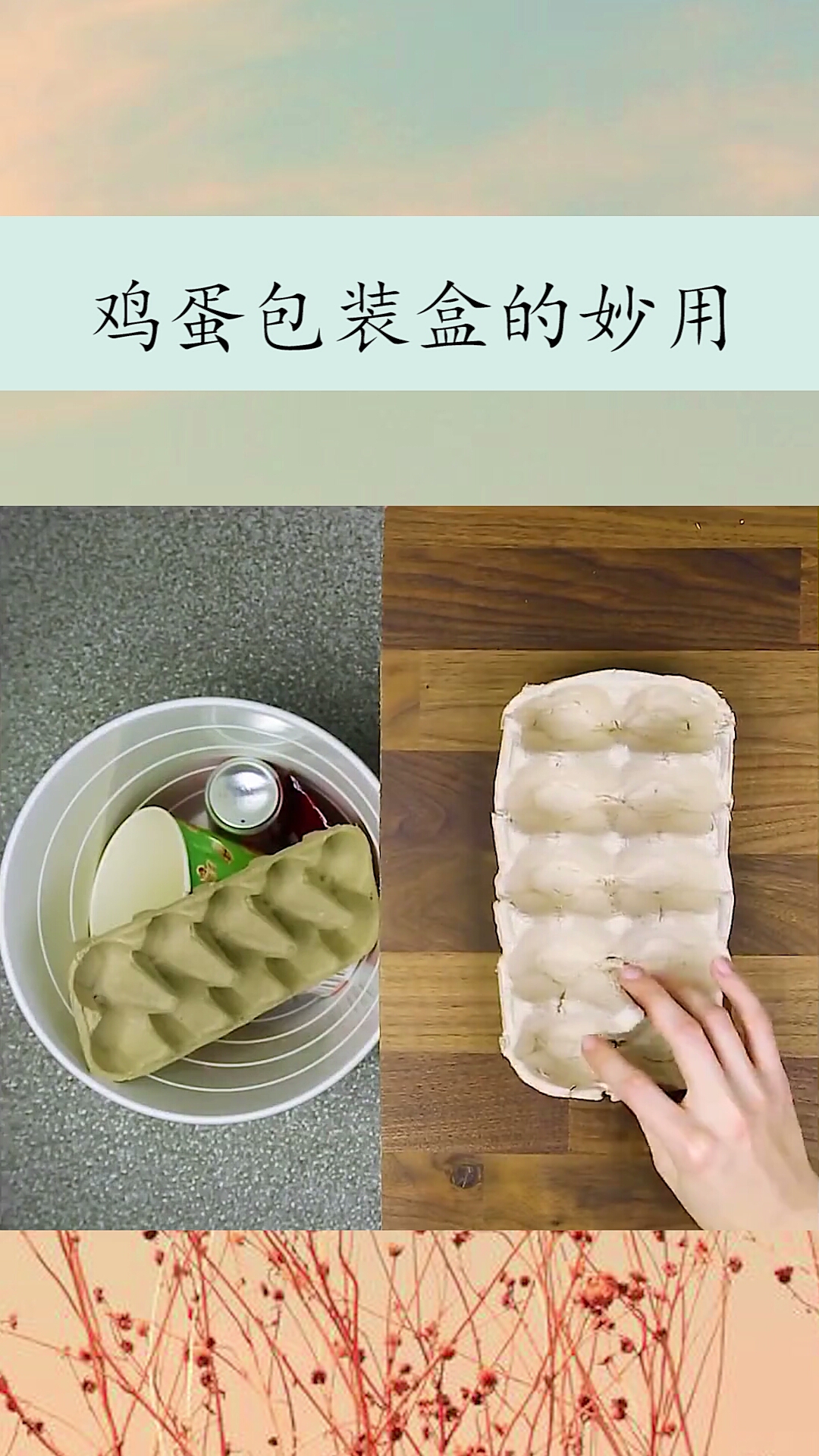 你家的鸡蛋盒子这么用了没?