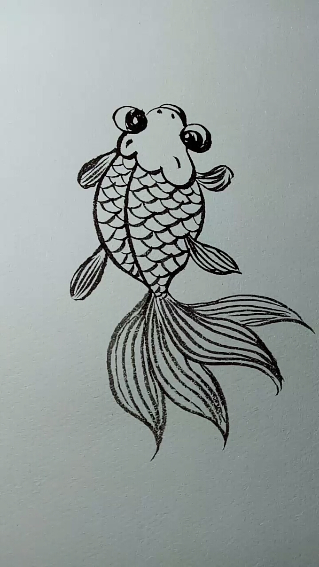 #一看就会的白描画#金鱼白描画法过程,很简单好学哦!