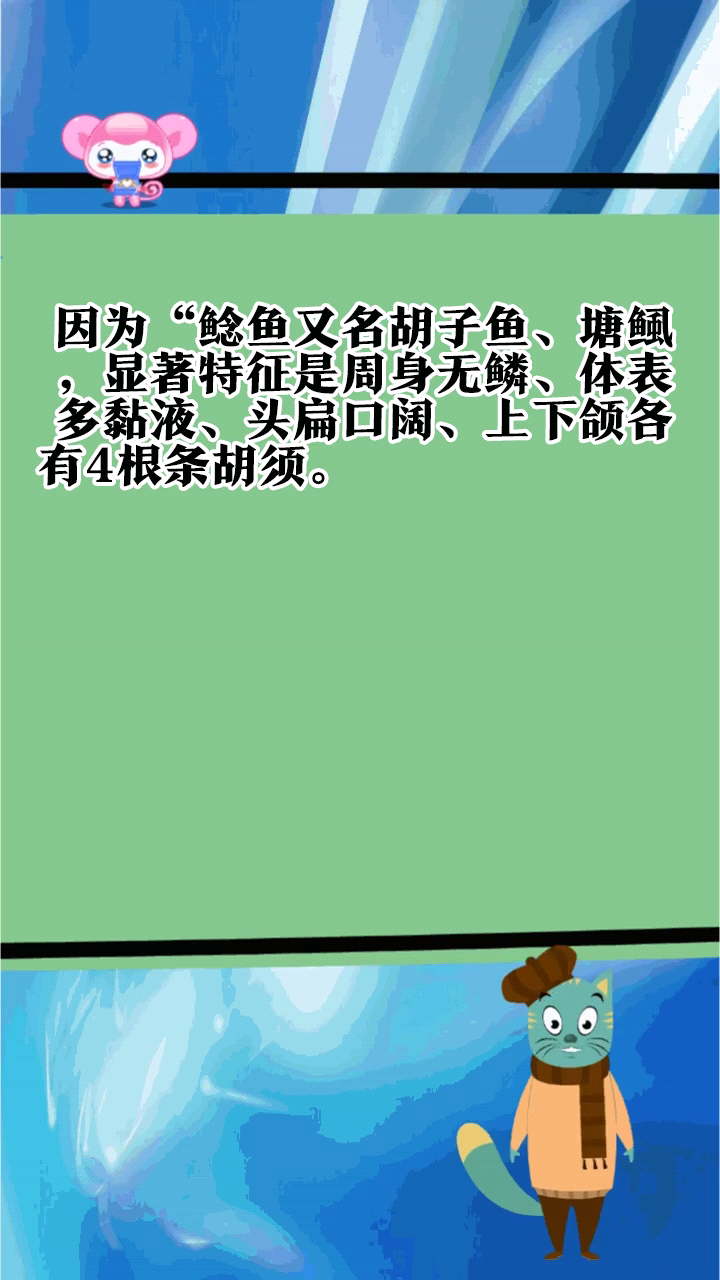 请问鲶鱼是什么梗呢?