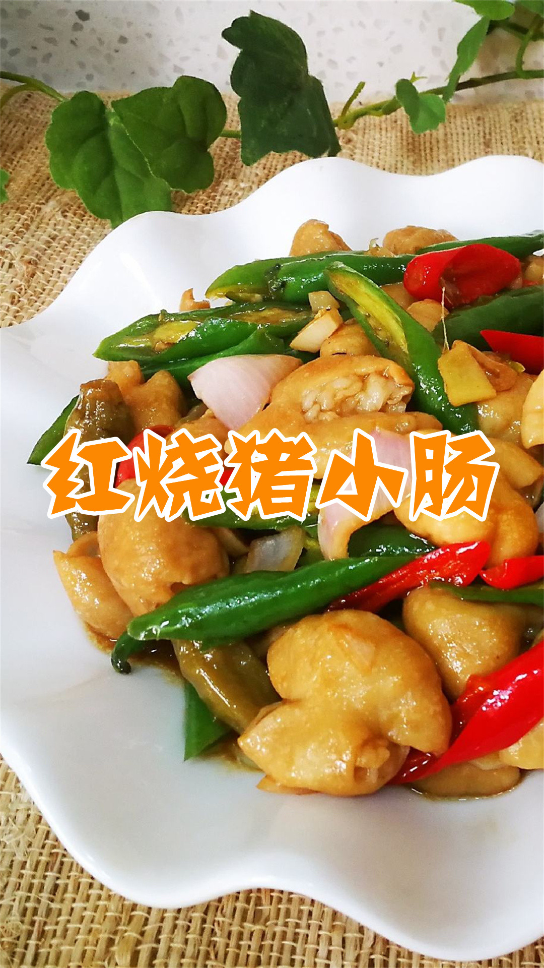 红烧猪小肠