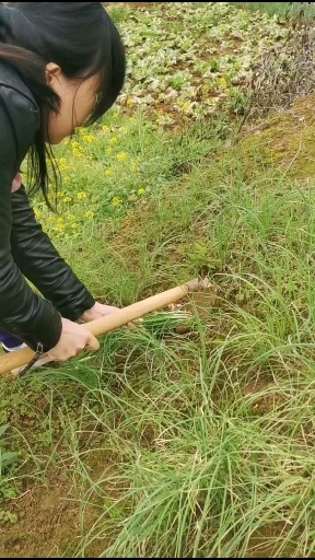野葱煎蛋饼,老香啦