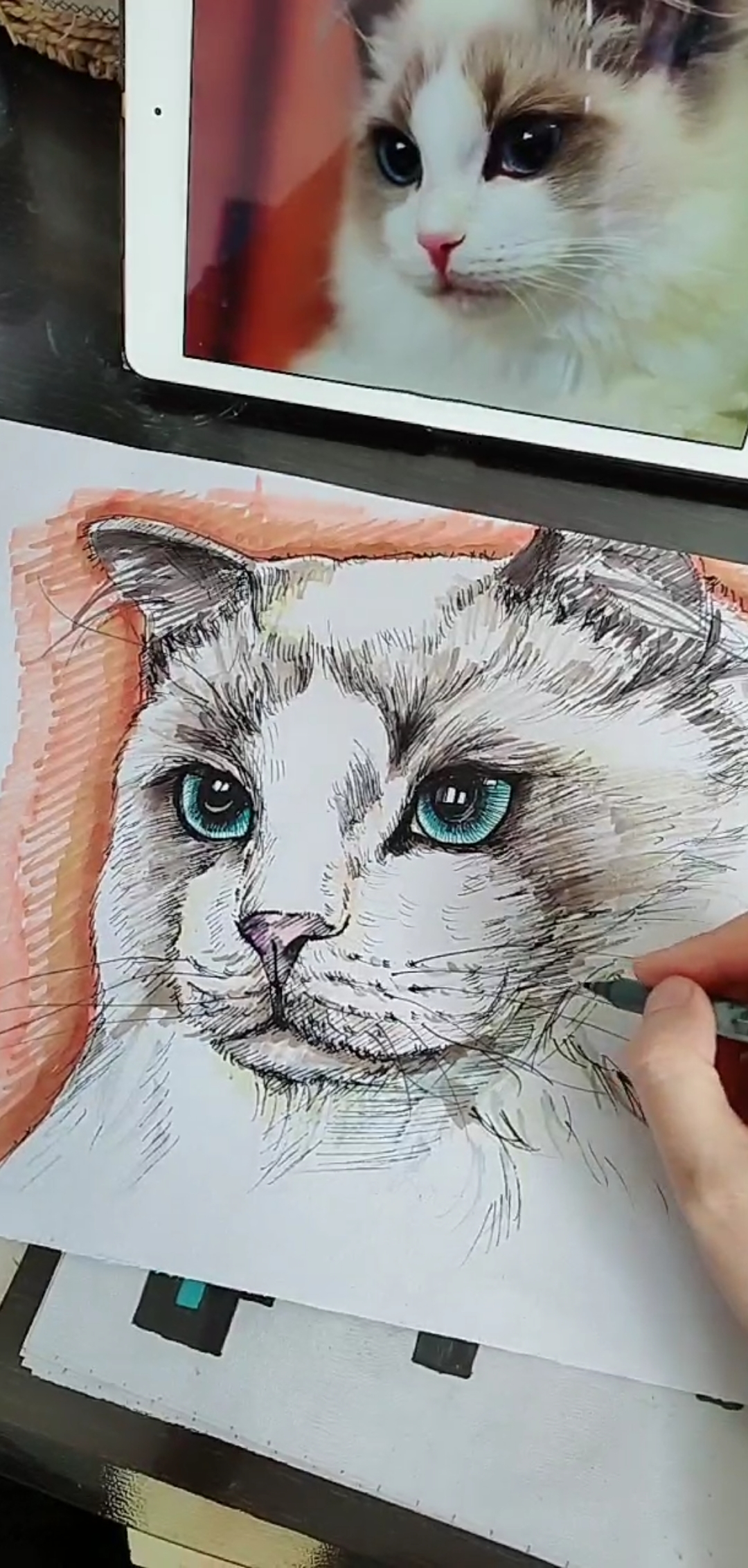 #美术生#美术绘画儿童画素描线描布偶猫马克笔彩铅写生