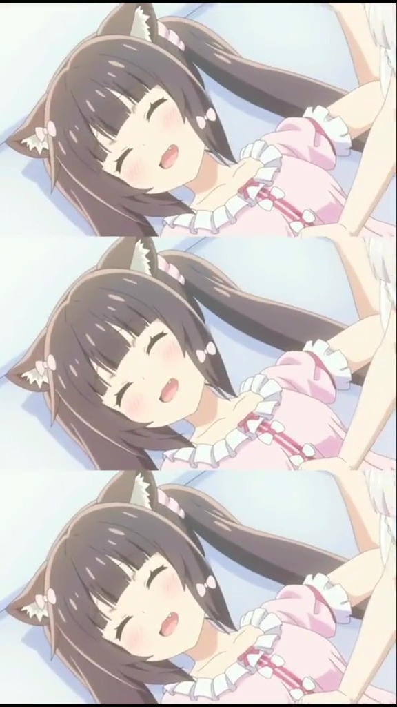 巧克力与香子兰 #不要限流 想养猫勒(