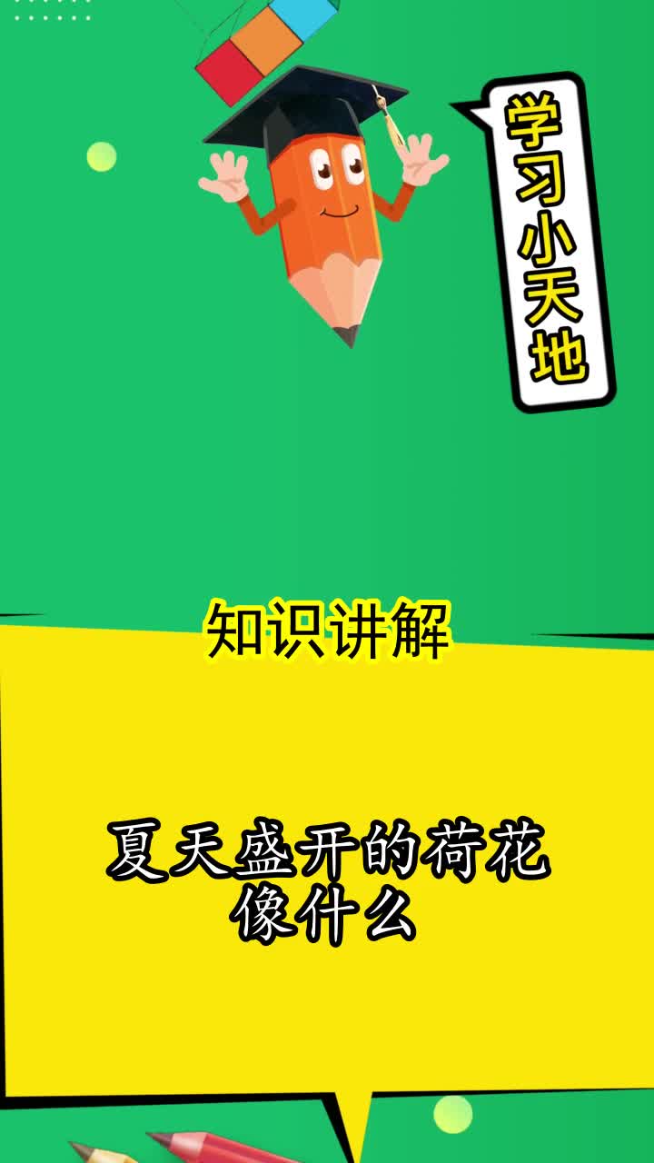 夏天盛开的荷花像什么,你学会了吗