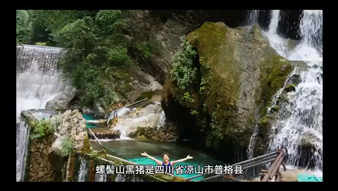 大凉山黑色小猪的学名叫什么