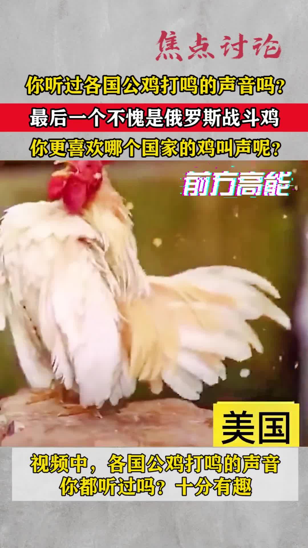 你听过各国公鸡打鸣的声音吗?最后一个不愧是俄罗斯战斗鸡,你更喜欢哪个国家的鸡叫声呢?