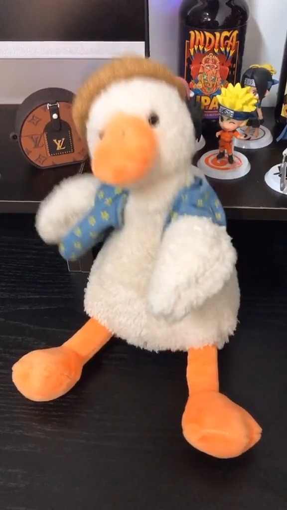 闺蜜给我寄的沙雕鸭鸭,都把我小仙女的气质带偏了