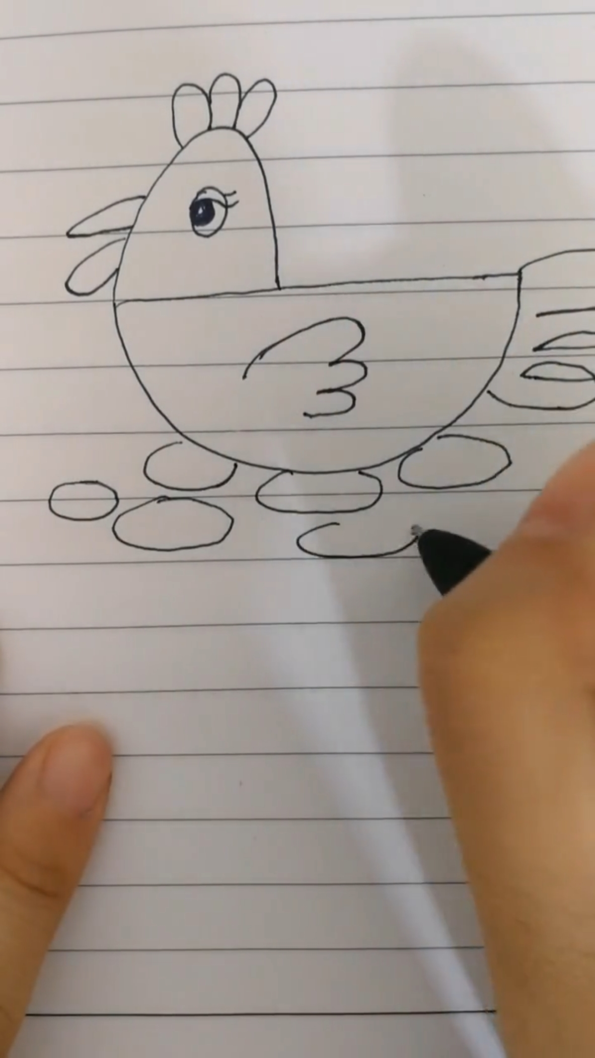 用简笔画来画一只母鸡,画法超级简单可以让宝宝画一幅哦