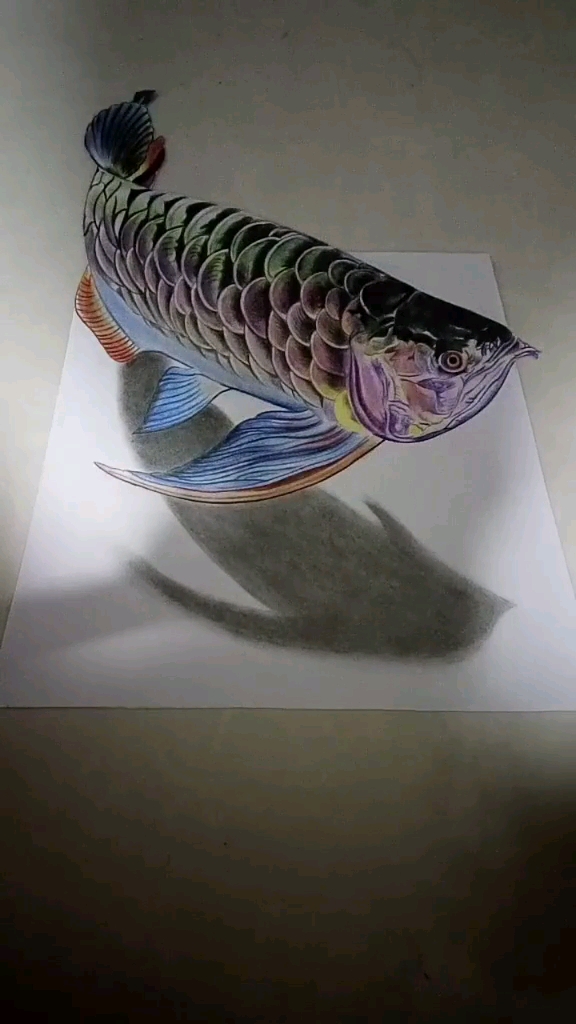 #这是高手#3D立体画，彩色金龙鱼来一条。