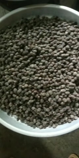 稔子,可以泡酒,有去湿活血的作用