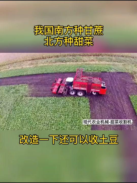#农业机械 #拖拉机#收割机 甜菜收割机,感觉可以收土豆,地瓜,不过这个机器可不便宜。