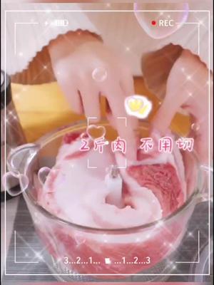 志高绞肉机家用电动小型打肉馅搅拌搅碎菜器料理蒜泥多功能神器