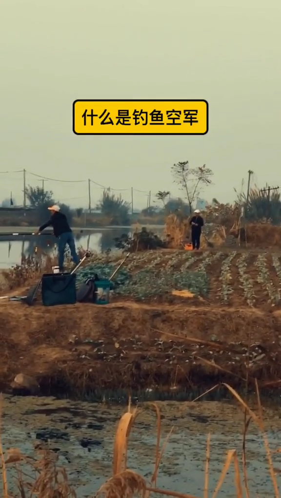 空军是什么意思  