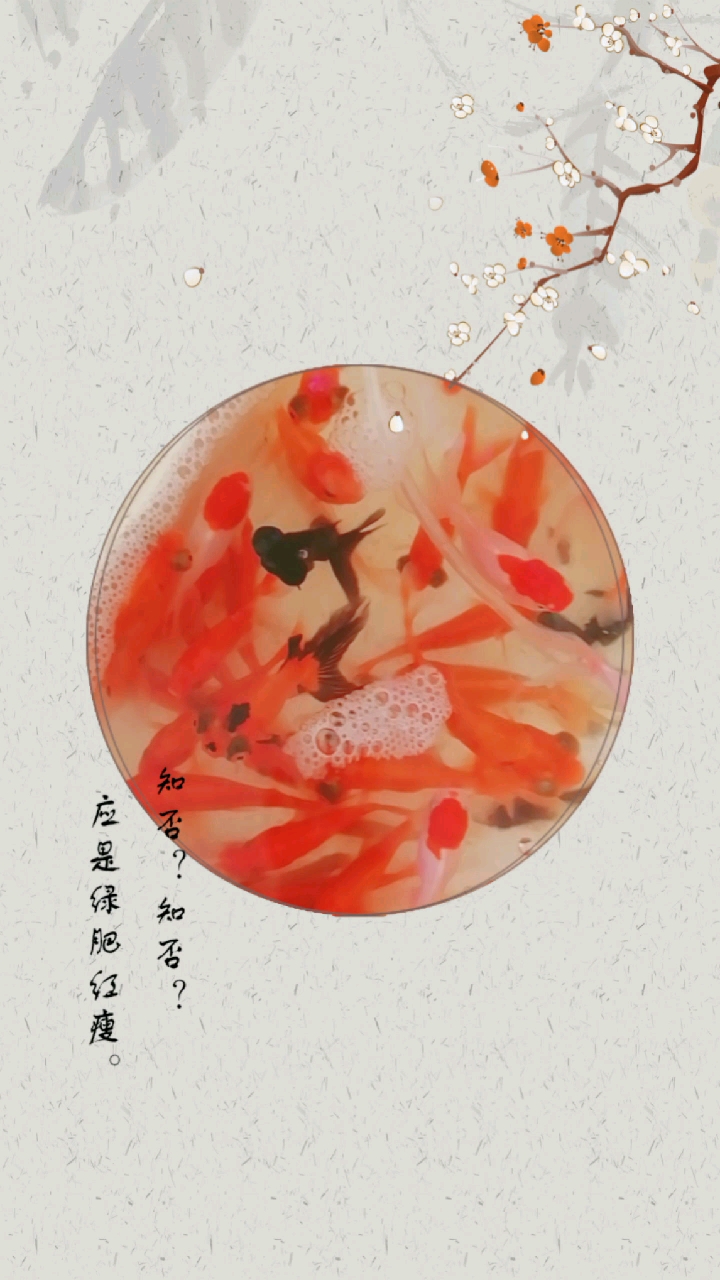 #中秋#祝大家中秋快乐,红红火火过中秋。