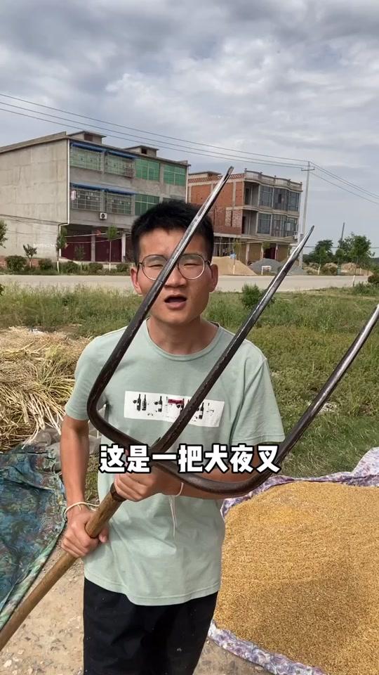 打菜籽,割菜籽,做梦都是菜籽。我今天早上终于割完了!#河南信阳 #回家