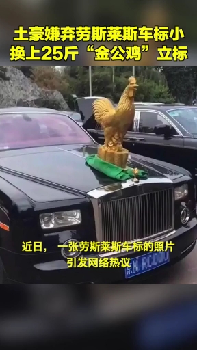 #优秀如我#这才是真的劳斯莱斯的金鸡独立标志