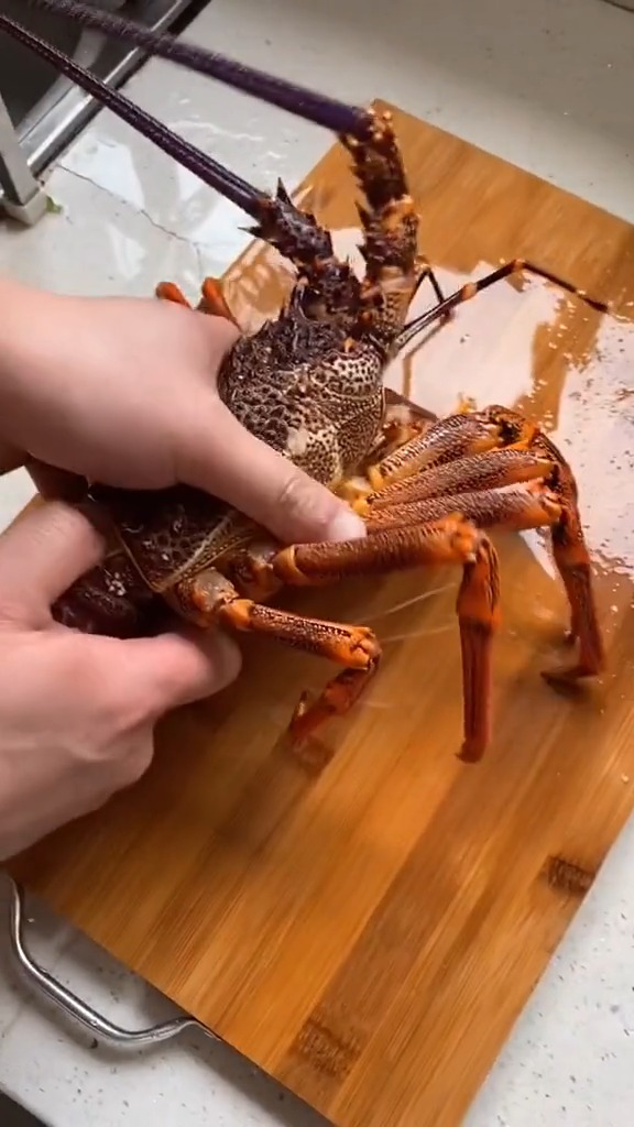 #美食#澳洲龙虾刺身