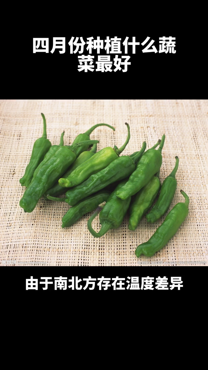 四月份种植什么蔬菜最好