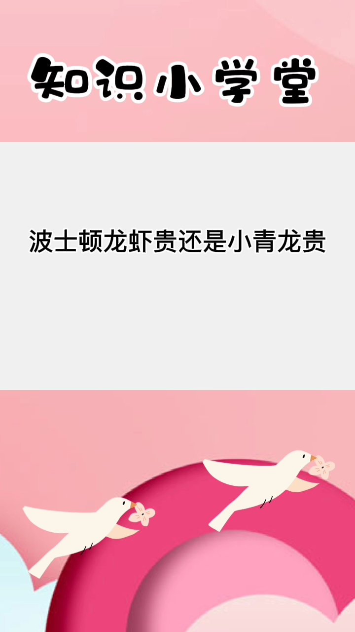 波士顿龙虾贵还是小青龙贵