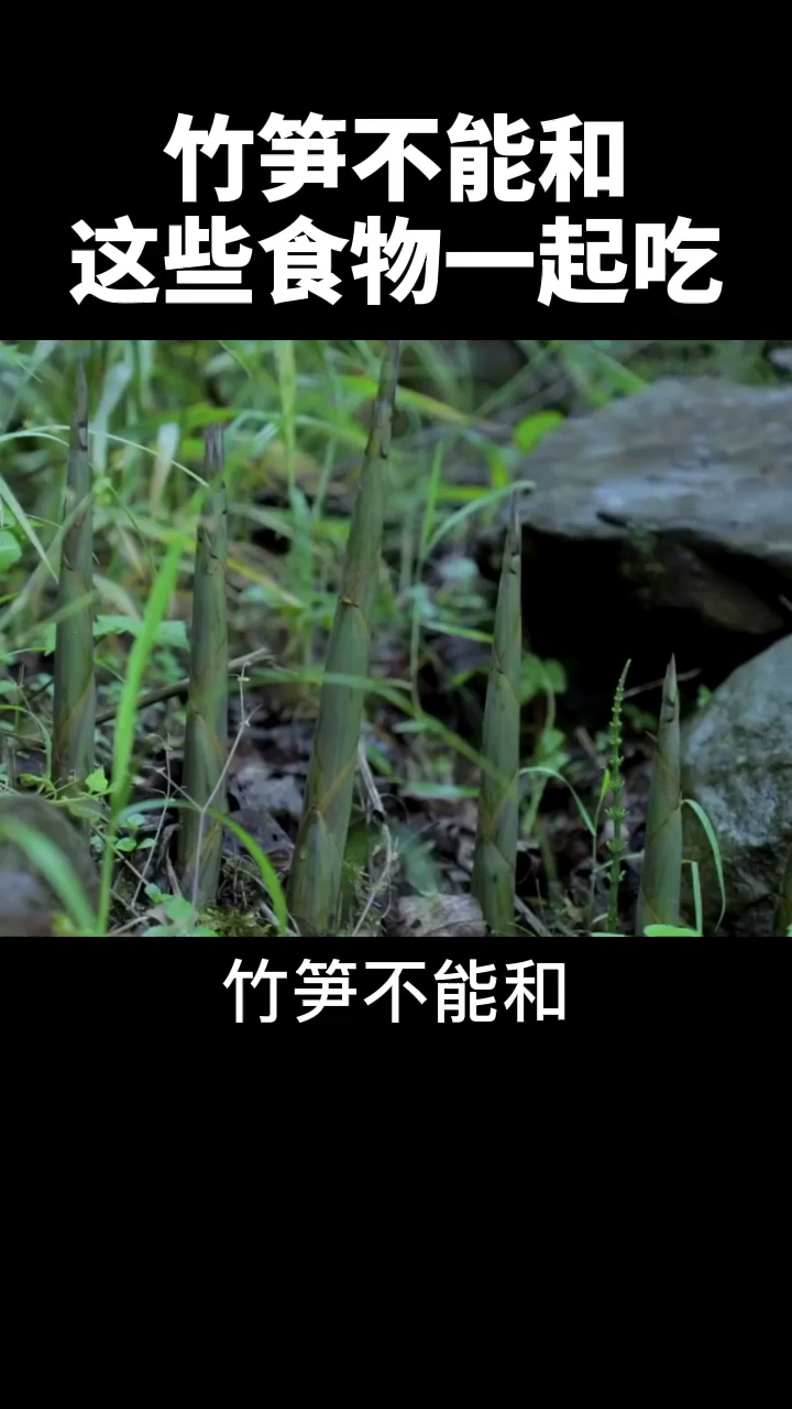 竹笋不能和这些食物一起吃。竹笋不能和