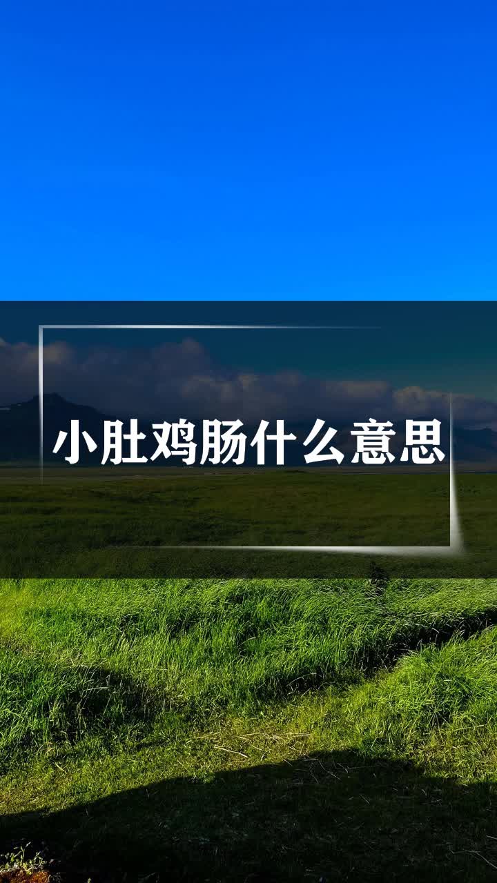 小肚鸡肠什么意思