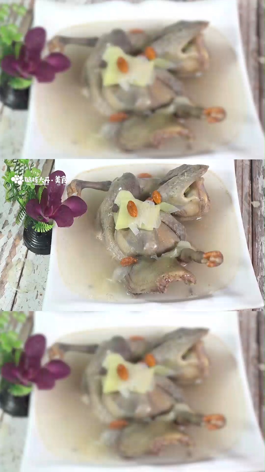 枸杞乳鸽汤的做法
