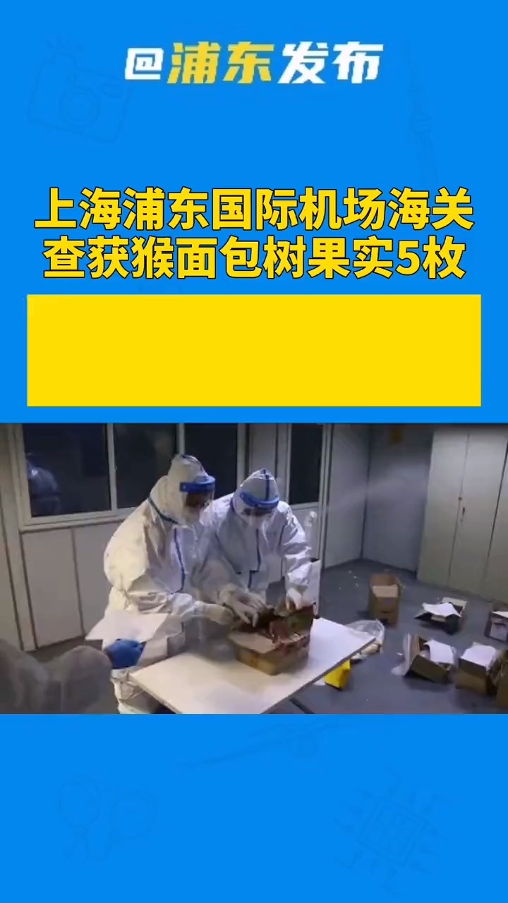 上海浦东国际机场海关在进境快件中查获猴面包树果实5枚