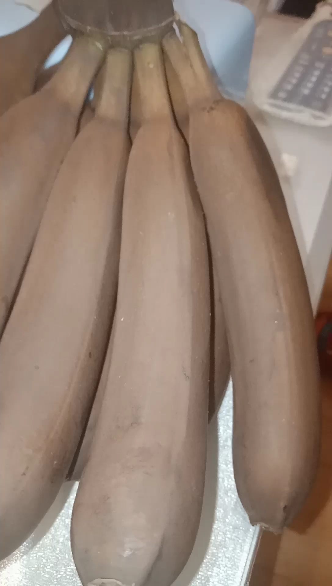 这是什么品种的