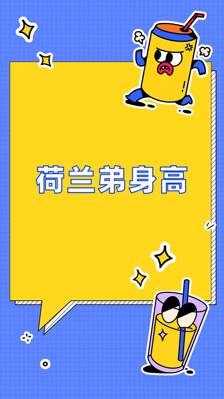 荷兰弟身高