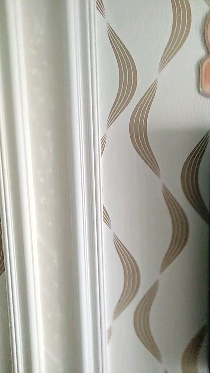 分享视频