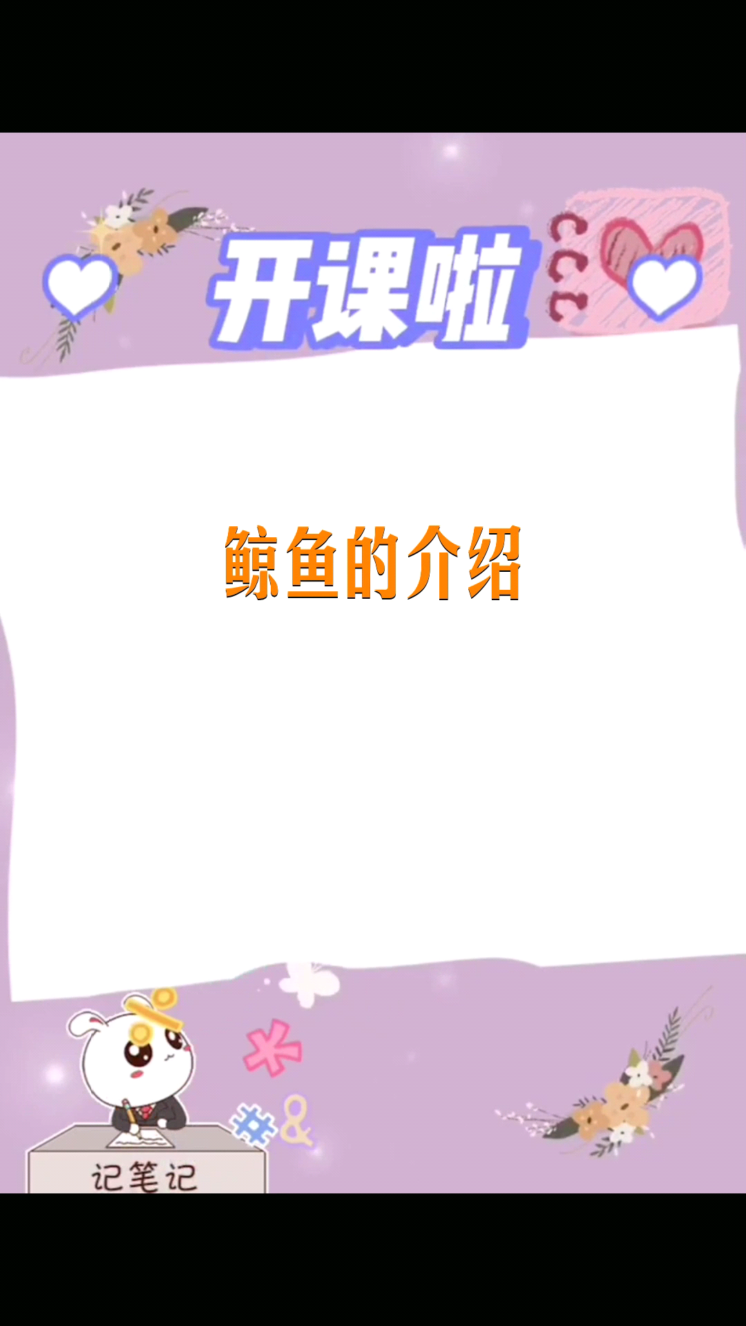 鲸鱼的介绍   