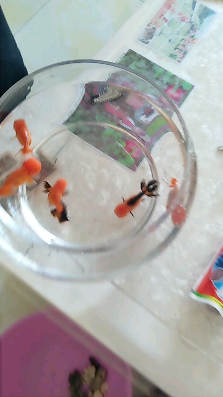 分享视频