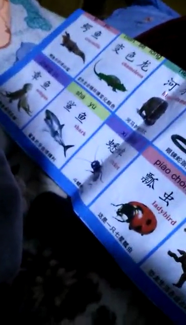 奶奶教你认字,你知道鹅油是什么吗?