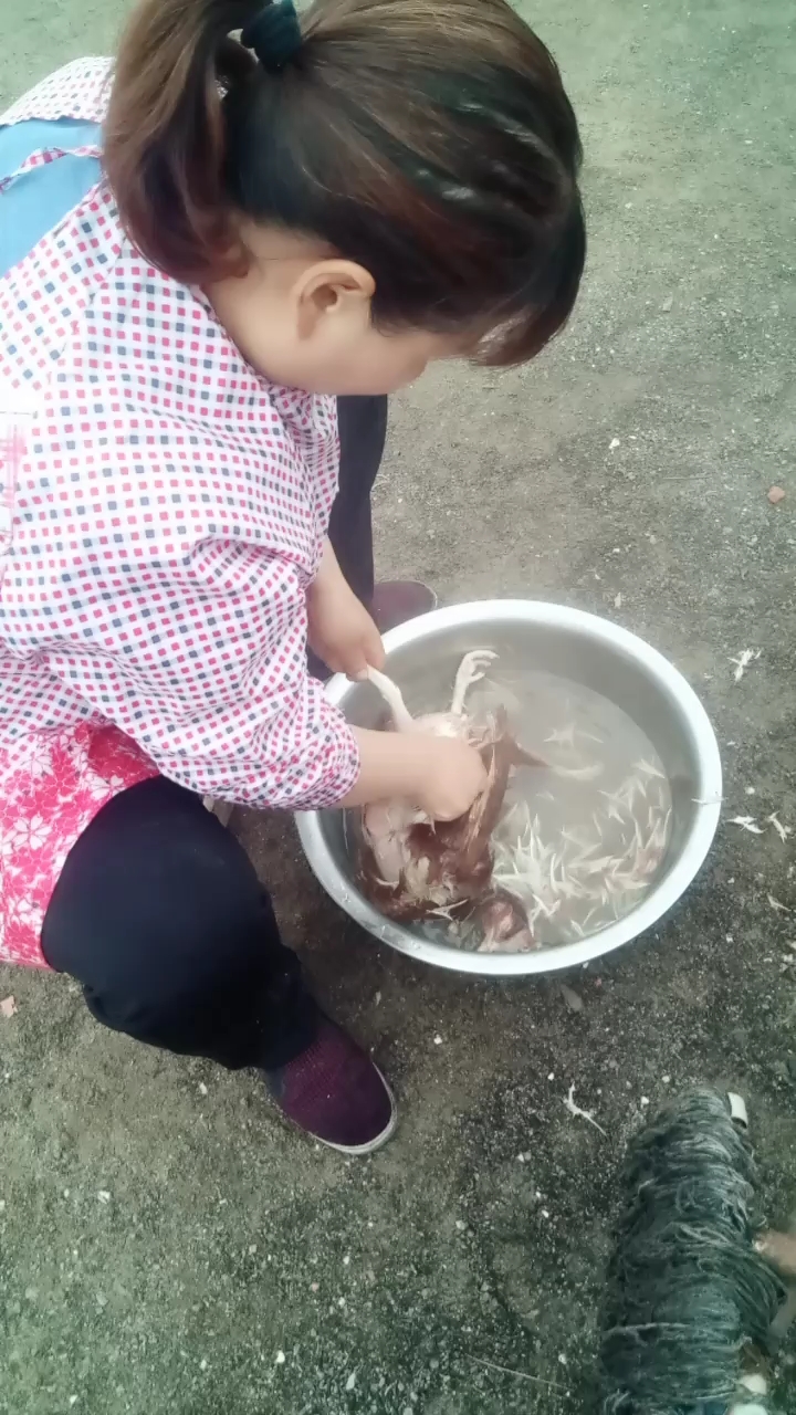 看看我的美女姐姐给大家杀鸡吃呢