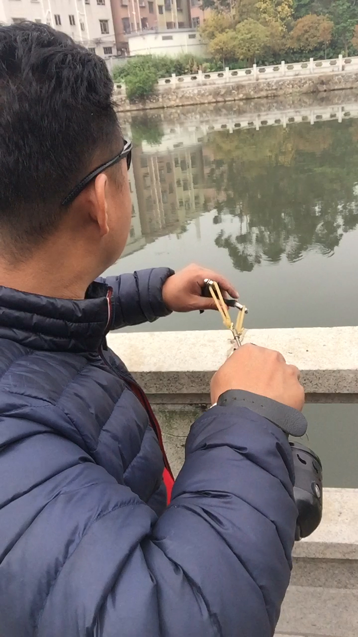 大头鱼出来了