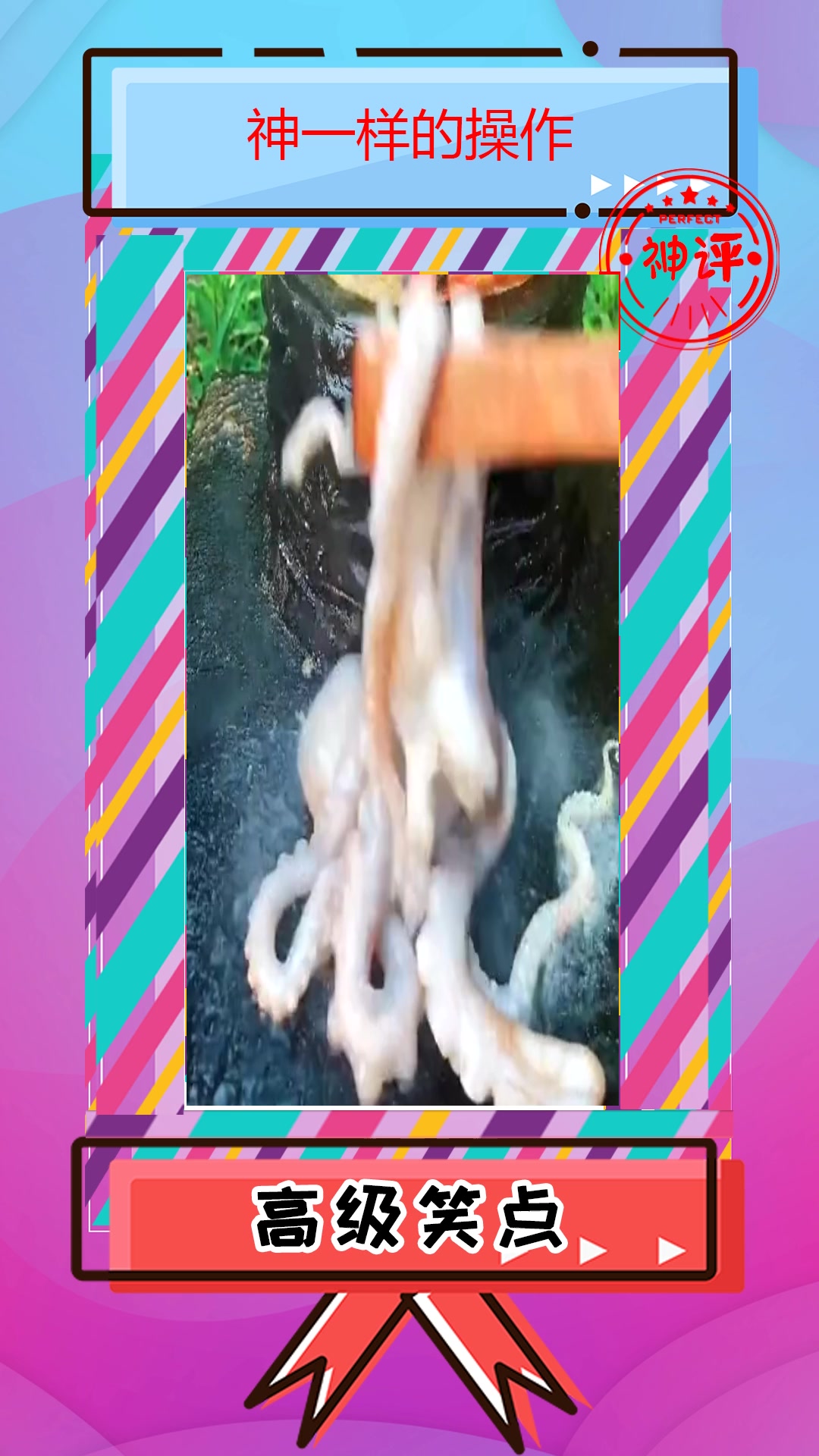 #搞笑#用石锅做出来的鱿鱼,自己看了都流口水!